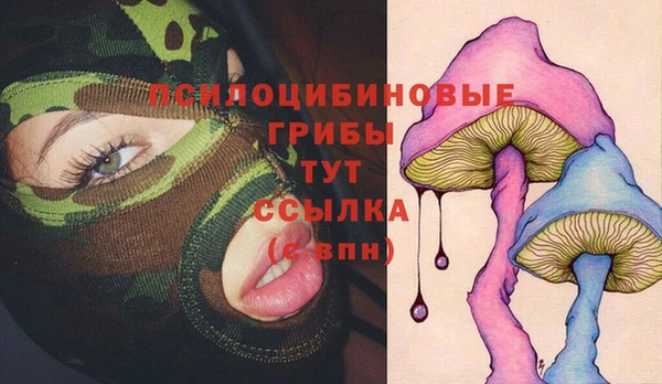 твердый Кукмор