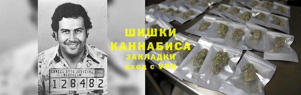 молекула духа Краснослободск