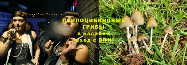 сатива Красноперекопск