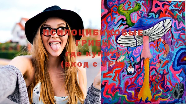молекула духа Краснослободск