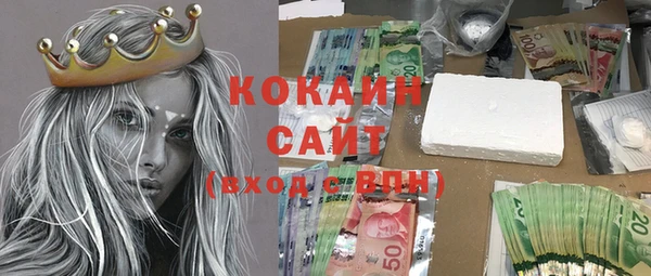 молекула духа Краснослободск
