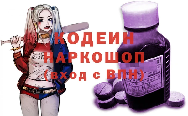 молекула духа Краснослободск