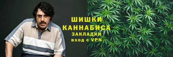 ГАЛЛЮЦИНОГЕННЫЕ ГРИБЫ Кулебаки