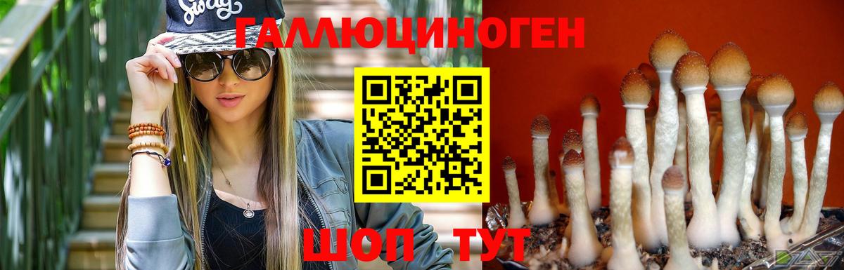 Губкинский  Псилоцибиновые грибы мухоморы  Псилоцибиновые грибы Magic Shrooms  Вход с VPN 