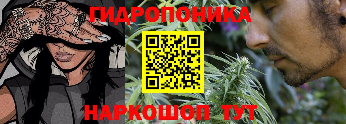 Шишки марихуана MAZAR  Вход с VPN  Губкинский  Конопля MAZAR 